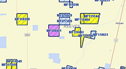 Oil & Gas Leases