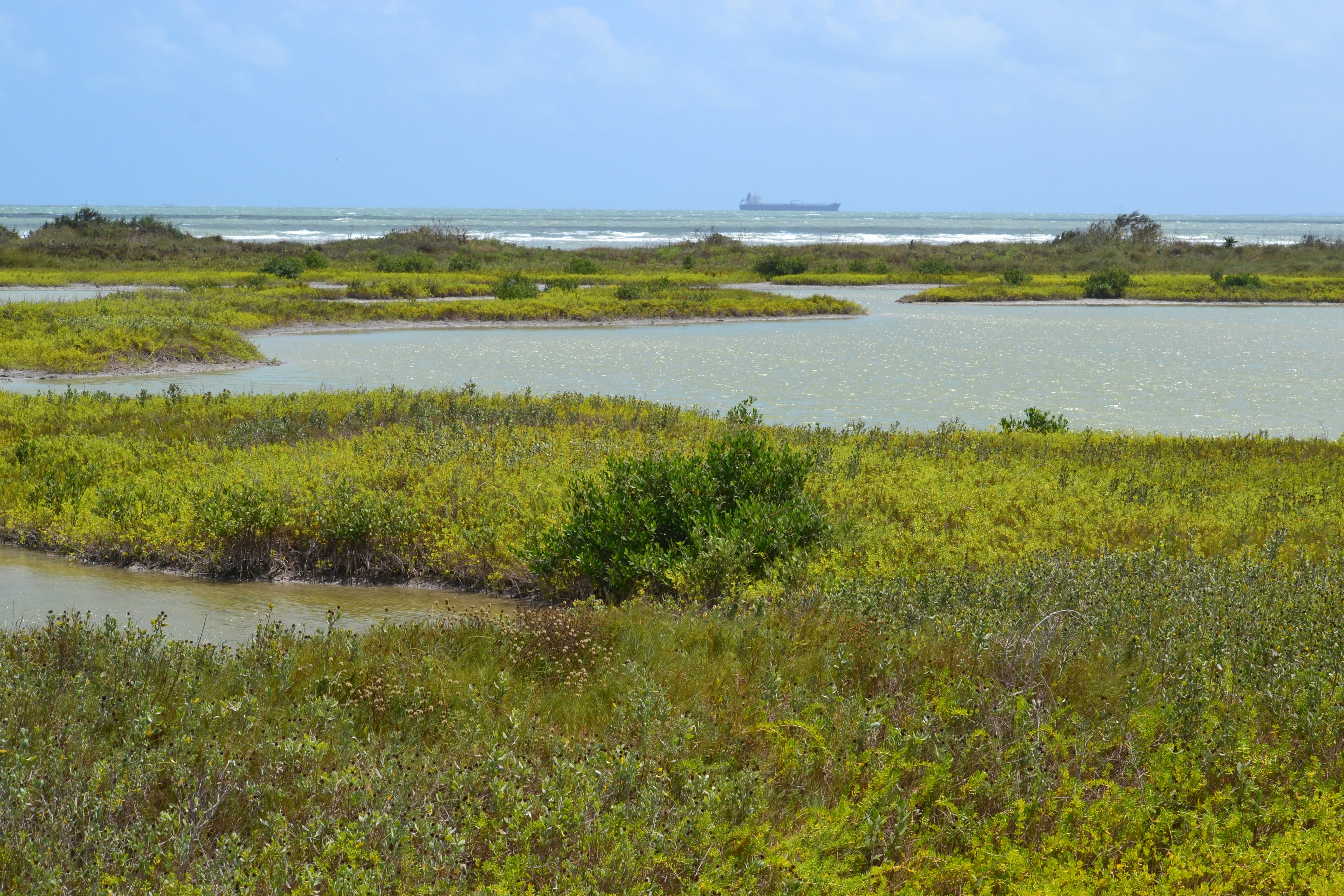 Corpus Christi bay coastal habitat with barge in the distance.