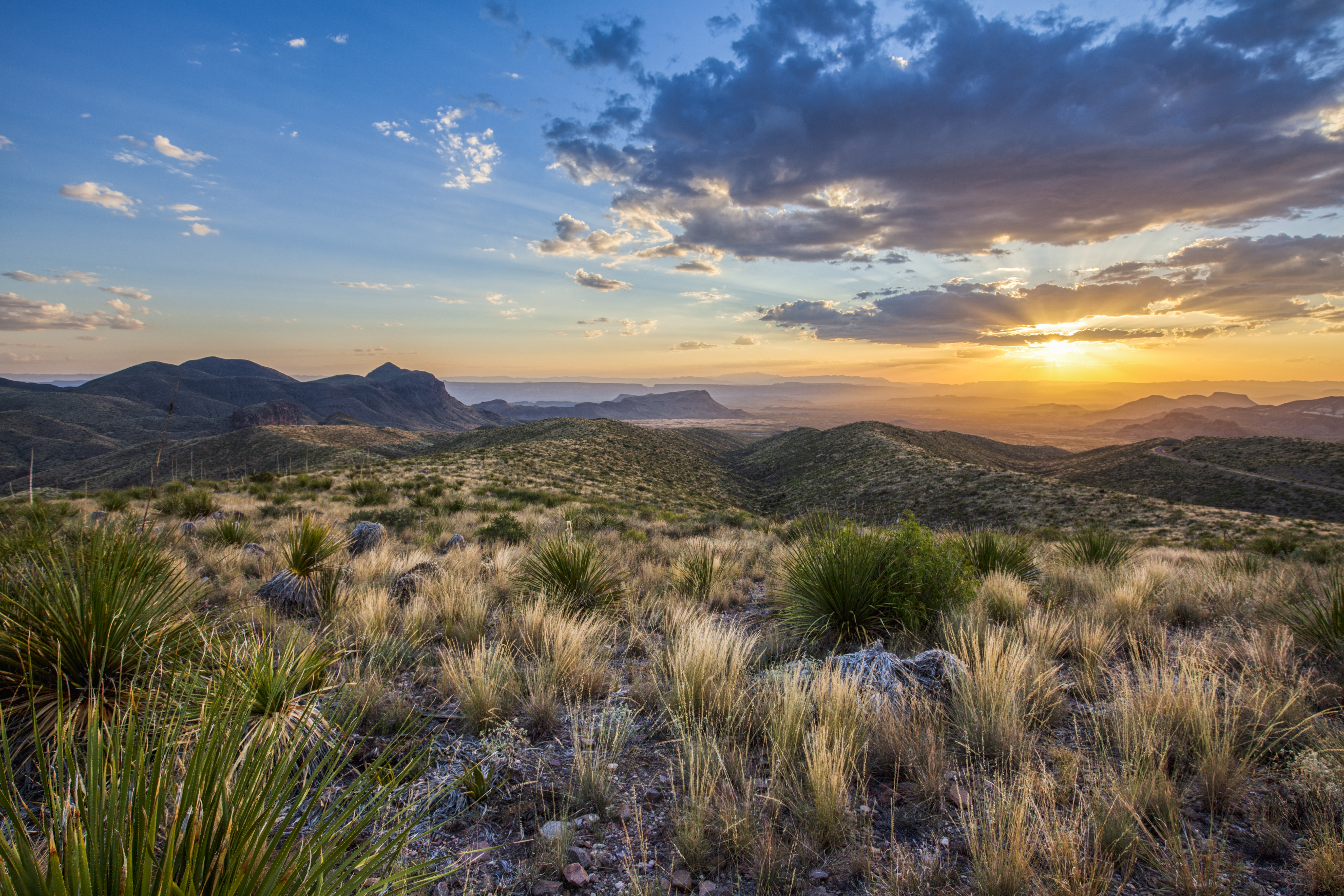 big bend view