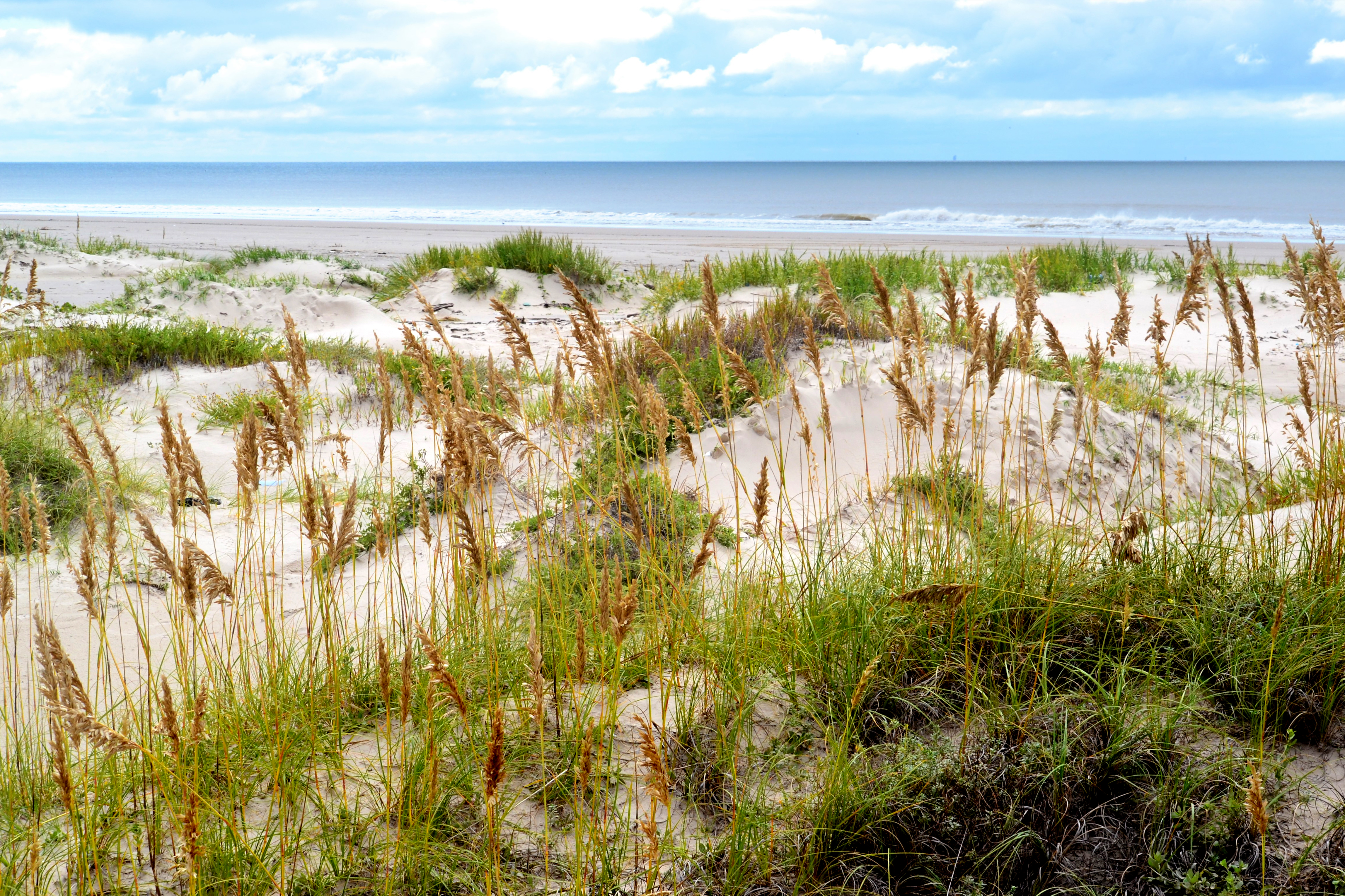 L_K.Hames dune matagorda