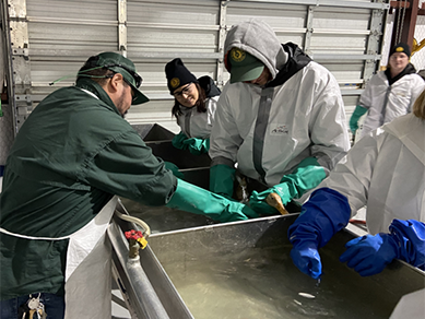 Oiled Wildlife Training Corpus Christi