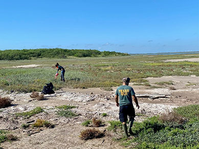 Rookery Cleanup October, 2023