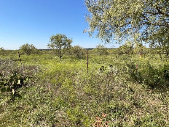 This tract of land is available in Eastland County during the VLBs Veterans-only land sale happening now