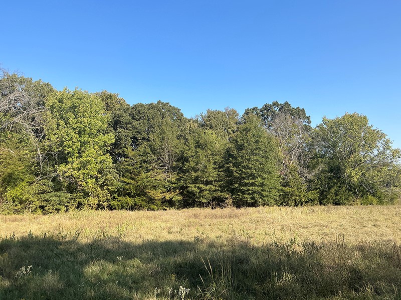 This tract of land is available in Hopkins County during the VLBs Veterans-only land sale happening now