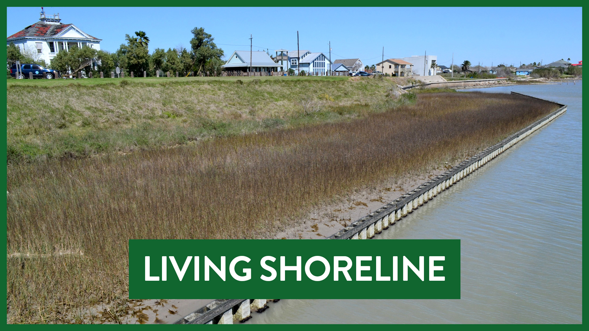 L_living-shoreline.png