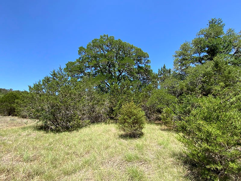 Land available in Spring Branch in Comal County