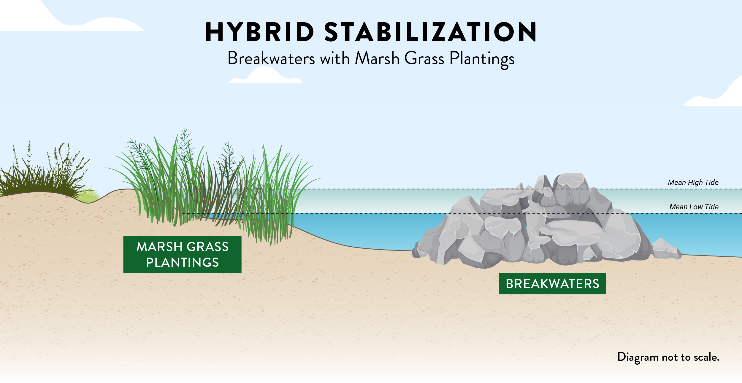 hybrid-breakwaters-marsh-grass.png