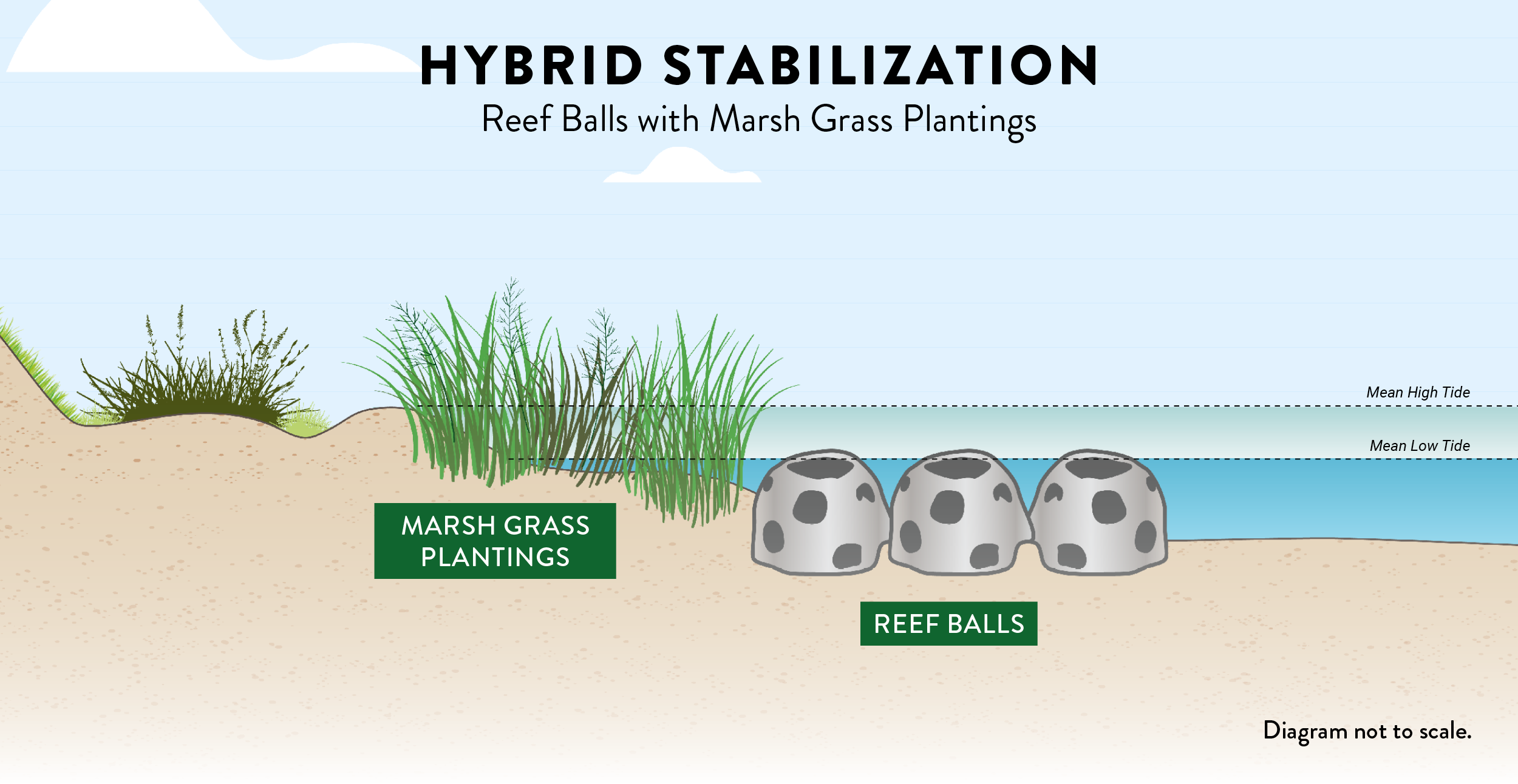 hybrid-reef-ball.png