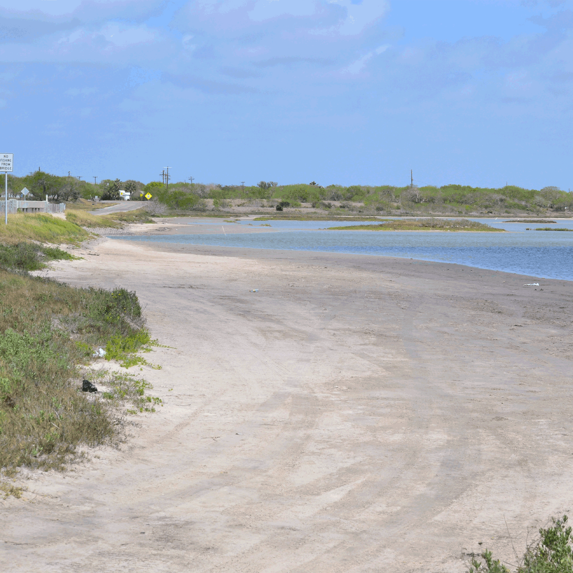 L_mud-flat-shoreline.png