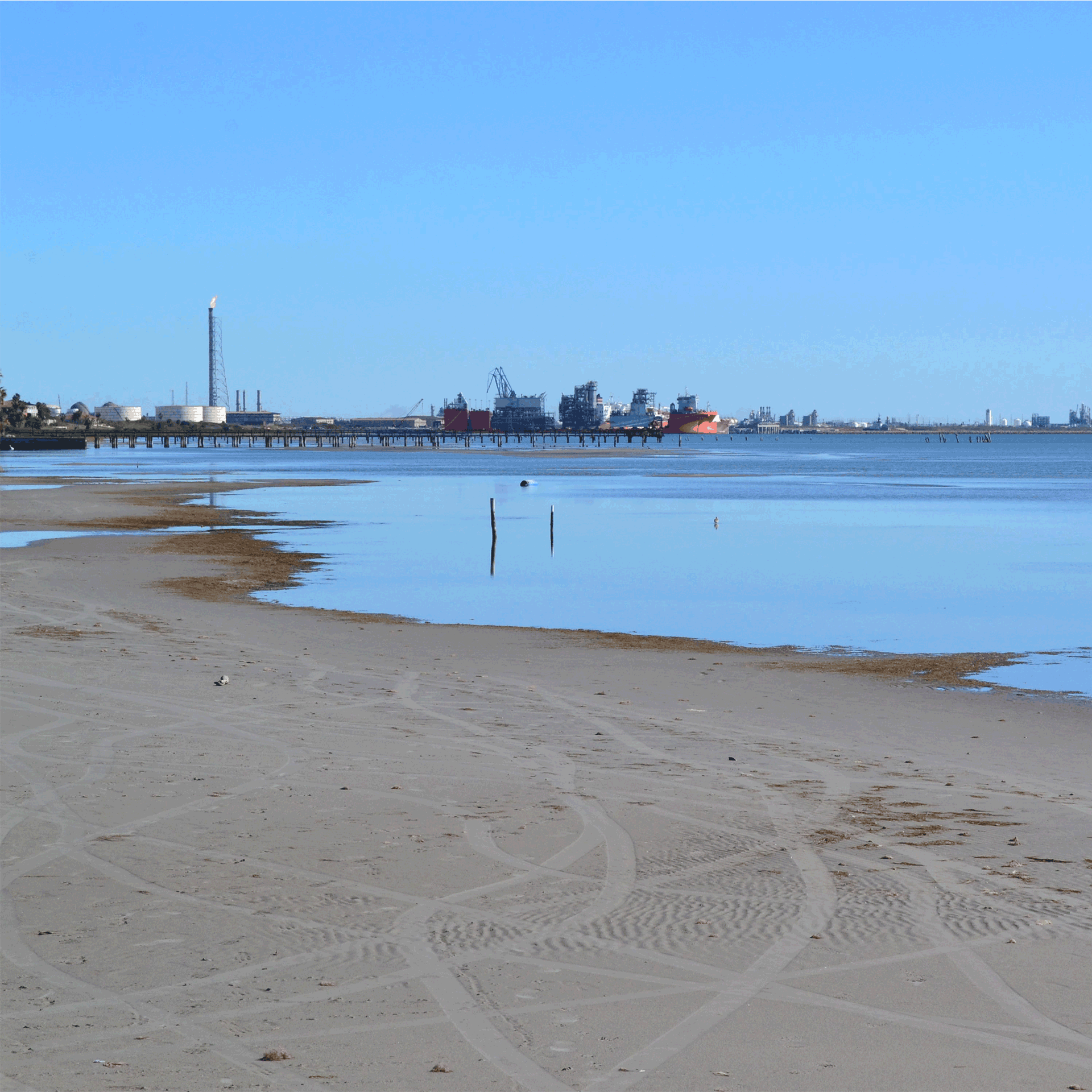 L_tidal-flat-shoreline.png