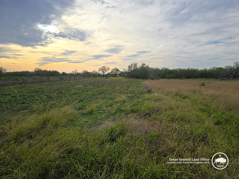 This tract of land is available in Willacy County during the VLBs Veterans-only land sale