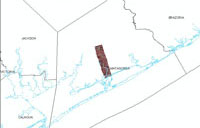 matagorda-t