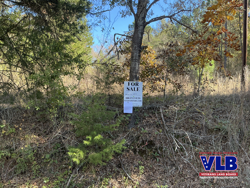 This tract of land is available in Cherokee County during the Veterans-Only Land Sale
