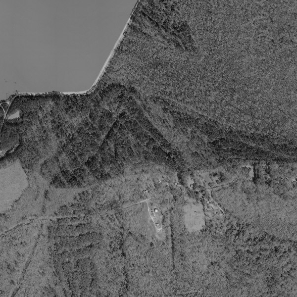 1998 Orange County 14 Texas General - 015 35 