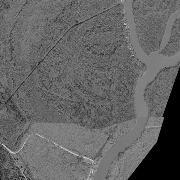 1998 Orange County 14 Texas General - 016 36 