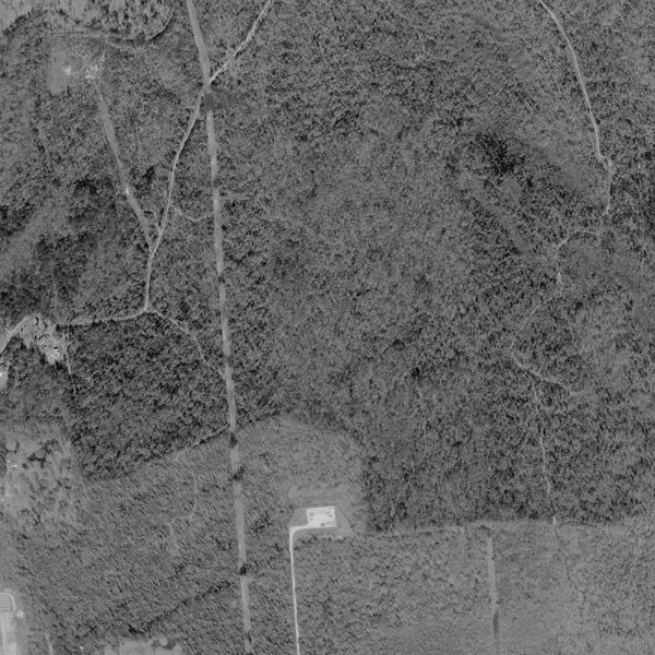 1998 Orange County 02 Texas General - 017 18 