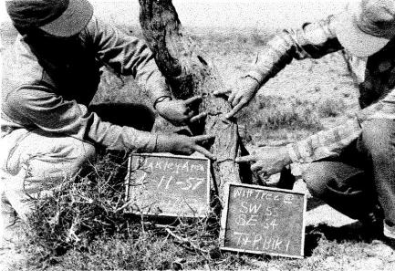 An old black-and-white photo of two men surveying excess acreage.