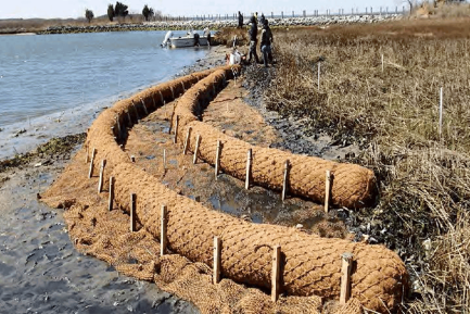 coir-log-installation.png