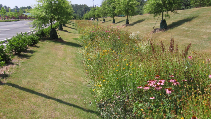 Stormwater Drainage