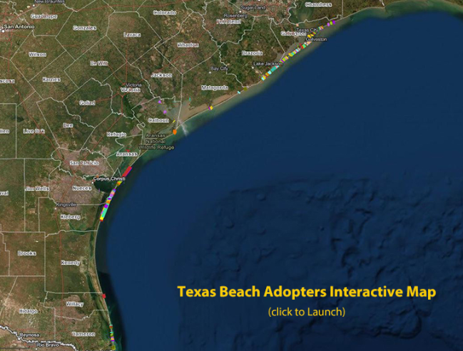 Texas Beach Adopters Map