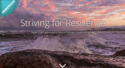 Striving for Resilience