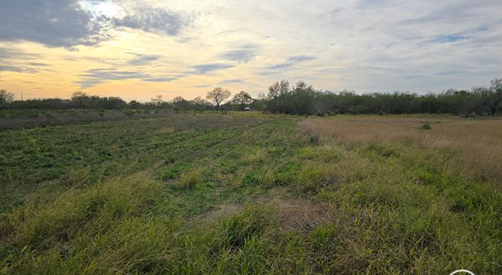 This tract of land is available in Willacy County during the VLBs Veterans-only land sale