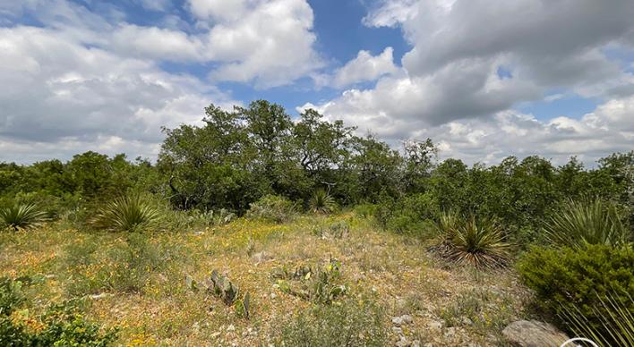 Land Sale PR