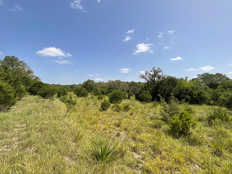 Green Land and Blue Sky