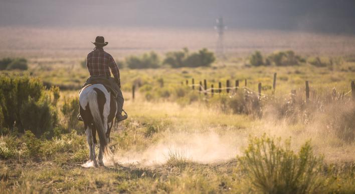 Man wearing a cowboy hat riding a horse on dirt in Texas prairie.